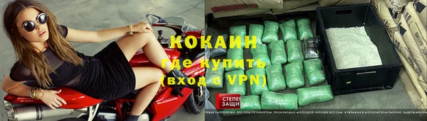 прущие грибы Навашино