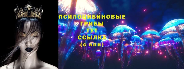 прущие грибы Навашино