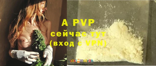 прущие грибы Навашино