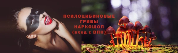 трава Наволоки