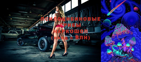 трава Наволоки