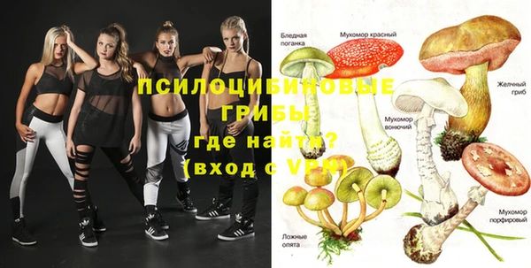 прущие грибы Навашино