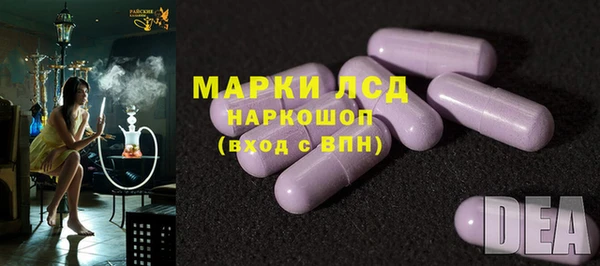 трава Наволоки