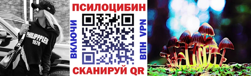 Купить закладки  Новокубанск  Псилоцибиновые грибы Psilocybine cubensis 